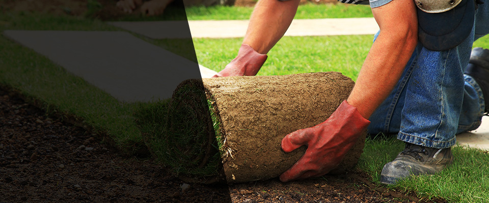 Souderton Landscapers
